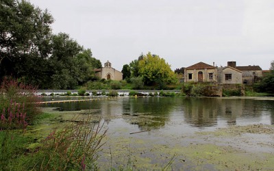 Fête à Lèo : Saint-Seurin et Saint-Antoine sur L’Isle, samedi 19 juillet
