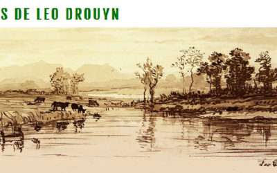 Visitez le site des Amis de Leo Drouyn.